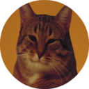 kin-requests-inc avatar