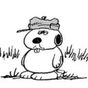 kindachubbylol avatar