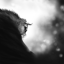 kindly-call-me-down avatar