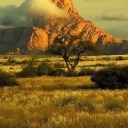 kindofamenace avatar