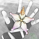 kingdomheartsquotes avatar