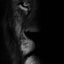 kinglywayz007 avatar