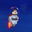 kingofelephants avatar