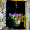 kingofpeace-9 avatar