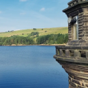 kings-a-clown avatar