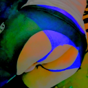 kingscrownsworld avatar