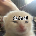 kissanminttuviina avatar