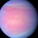 kisskissfall0 avatar