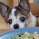 kissurknucklesb4upunchme avatar