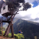 kitaplarvemuzikiyikivar avatar