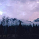 kitcat-astrology avatar