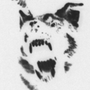 kitsch-haus-blog avatar