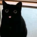 kitsuneuwuokami avatar