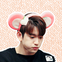 kittenyeong avatar