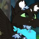 kittiecatbird avatar