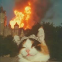 kittiesandtittays avatar