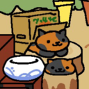 kitty-collector avatar