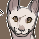 klumecritters avatar