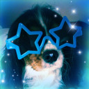 knightedpuppy avatar