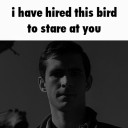 known-only-by-the-insane avatar