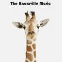 knoxsvillemusic avatar