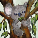 koalatydm avatar