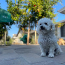 koffeeandwords avatar