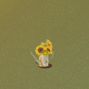 koifishoverrated avatar