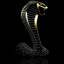 kojakwithakodak avatar