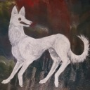 kollapstradixionales avatar