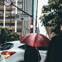 komaedasbagels avatar