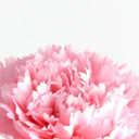 kpop-scenario-writer avatar