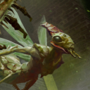 kraul-likes-detritus avatar