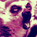 krispylemur avatar