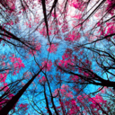 kristenmarie44-blog avatar