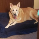 kristina-rayne avatar