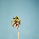 kryslivesaway avatar