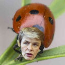 kuivamustekala avatar