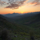 kurdistan-nature avatar