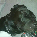 kush-master28 avatar