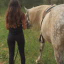 kuwaiti-in-haiti avatar