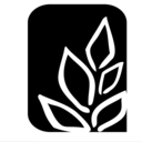 kyahnwdesign-blog avatar