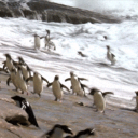 kylefish-wpb-fl avatar