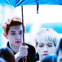 kyungsooissquishy avatar