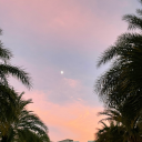 l0ser-wannabe avatar