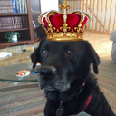 lacafedesarah avatar