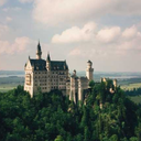 lacerated-gravity avatar