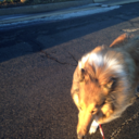 laceratedstringbean avatar