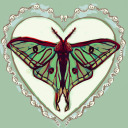 lacrimoth avatar