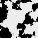 lactosetolerant2 avatar